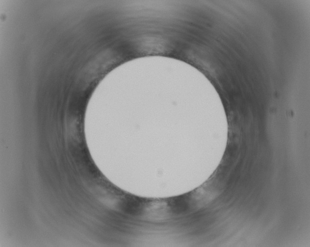 X0000073930162200609011843