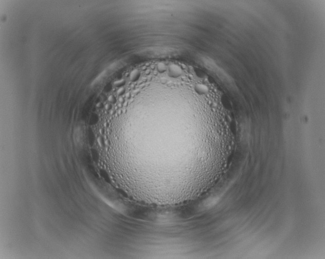 X0000073930165200609011843