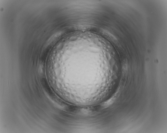 X0000073930166200609011843