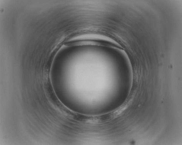 X0000073930168200609011843