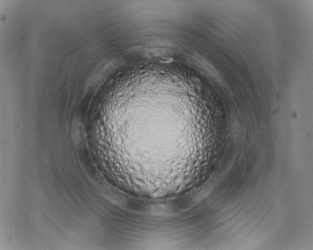 X0000073930169200609011843