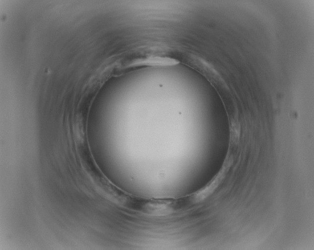 X0000073930170200609011843