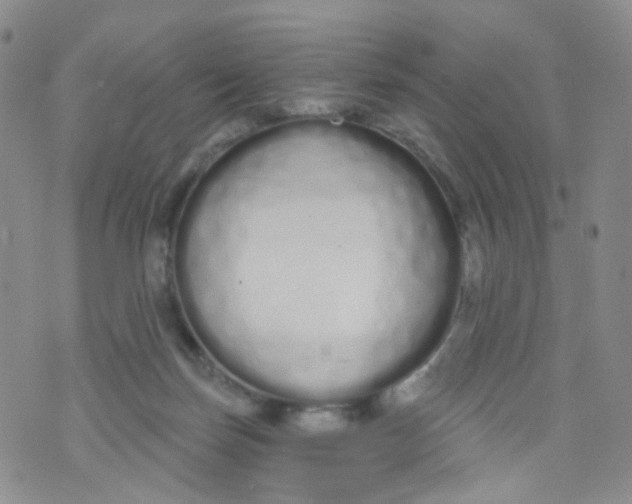 X0000073930171200609011843