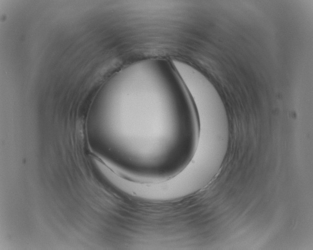 X0000073930172200609011843