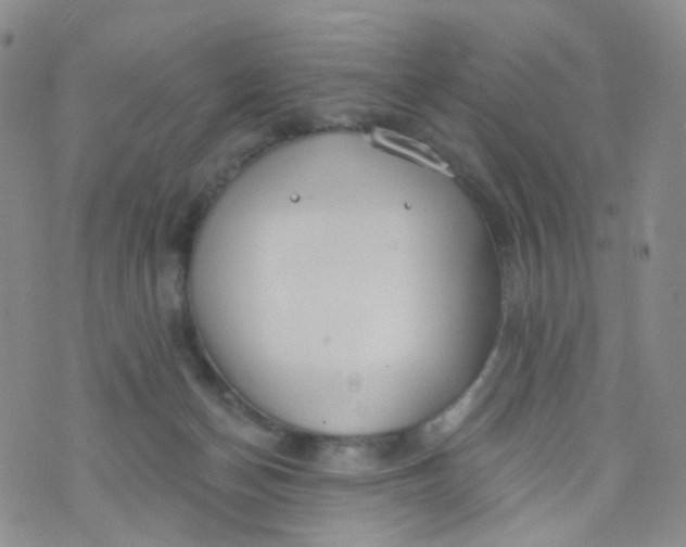 X0000073930174200609011843