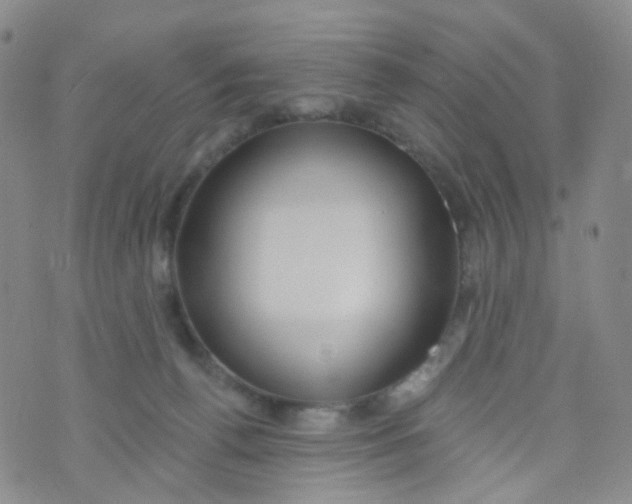 X0000073930176200609011843