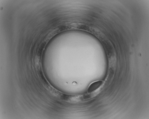 X0000073930178200609011843