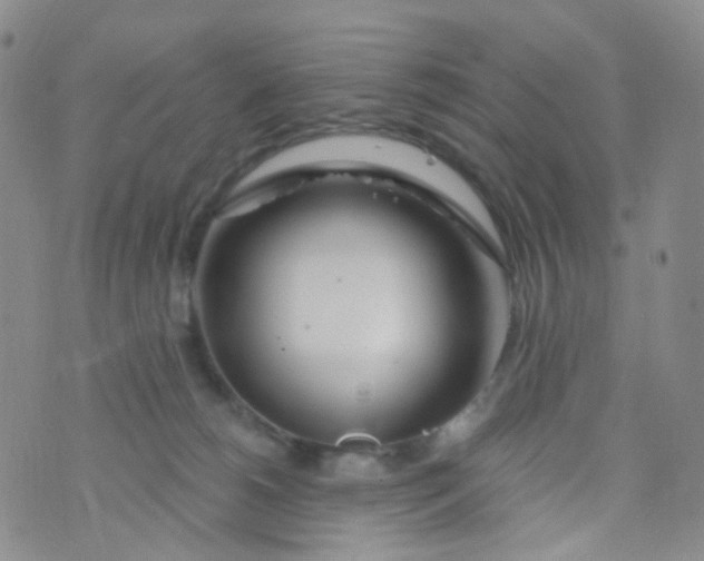 X0000073930180200609011843