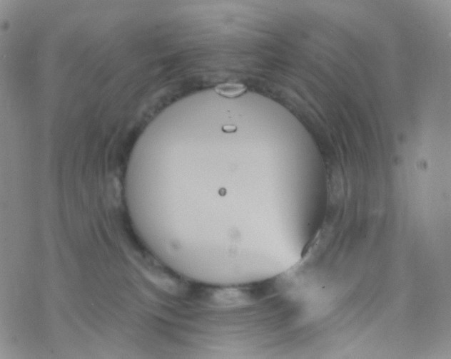 X0000073930183200609011843