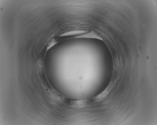 X0000073930184200609011843