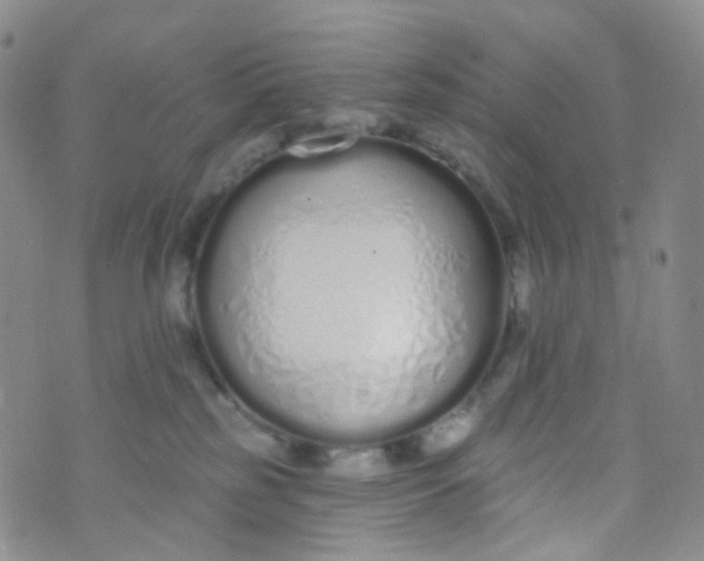 X0000073930185200609011843