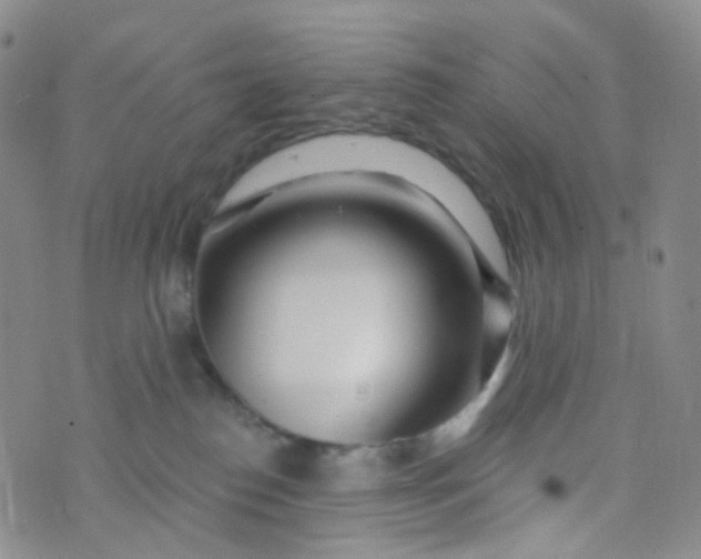 X0000073930186200609011843