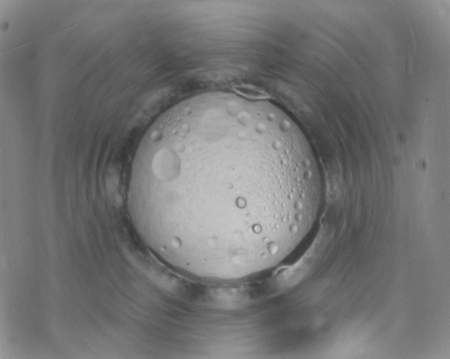 X0000073930187200609011844