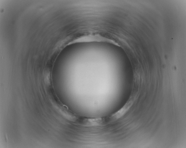 X0000073930188200609011844