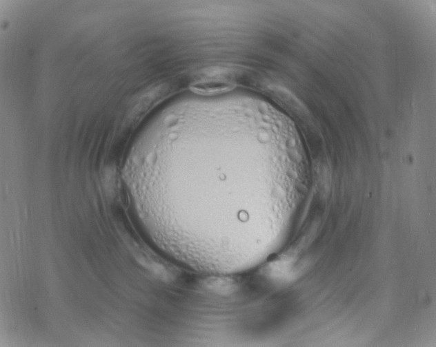 X0000073930189200609011844