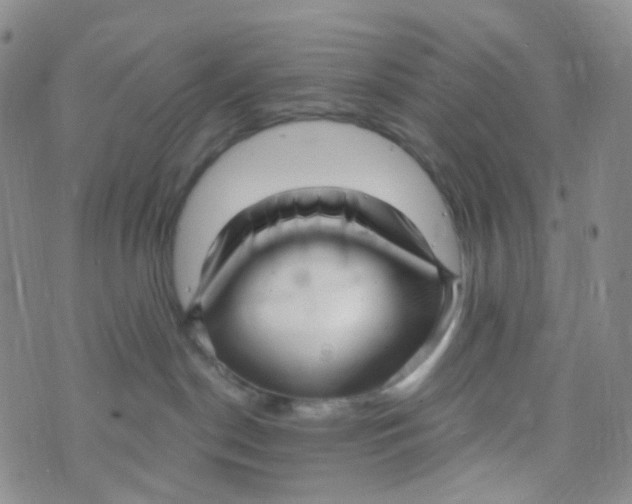 X0000073930190200609011844