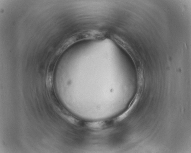 X0000073930191200609011844