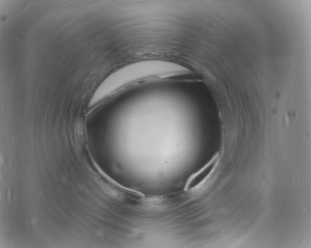 X0000073930192200609011844