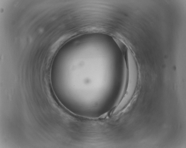 X0000073930193200609011843