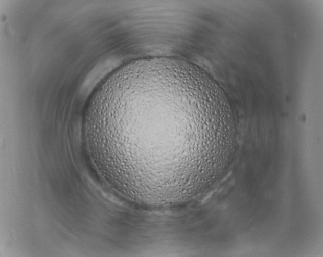 X0000073930194200609011843