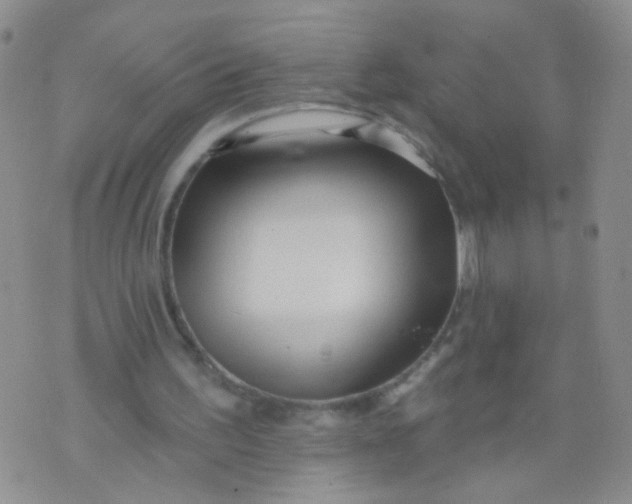 X0000073930195200609011843