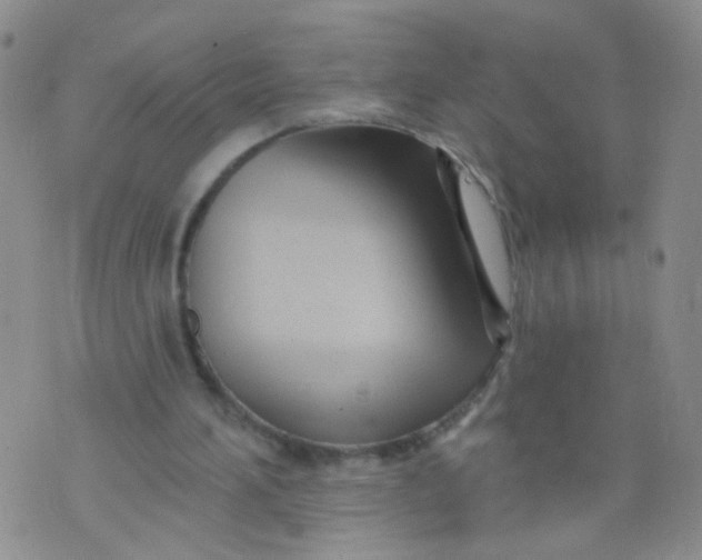 X0000073930196200609011843