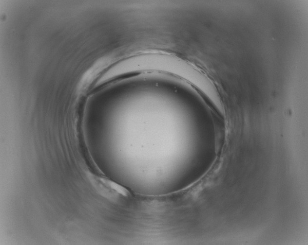 X0000073930197200609011843