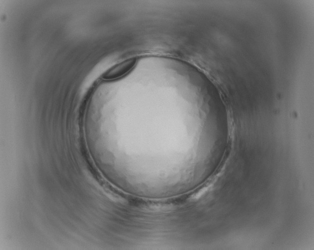 X0000073930198200609011843