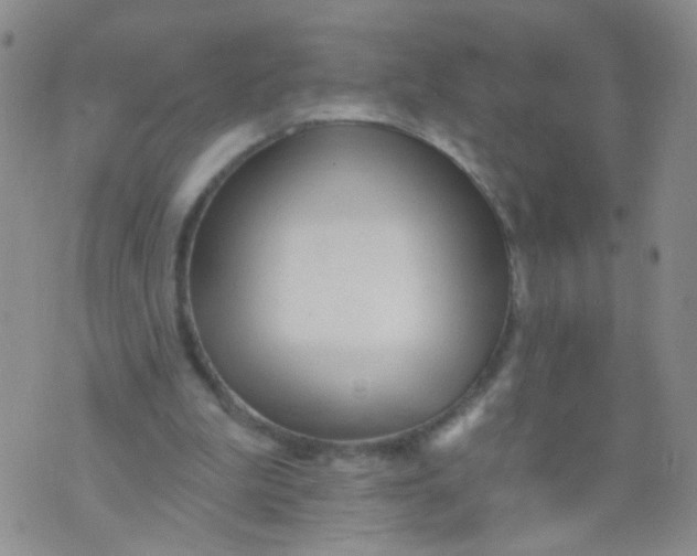 X0000073930199200609011843