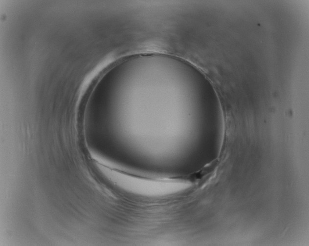 X0000073930200200609011843