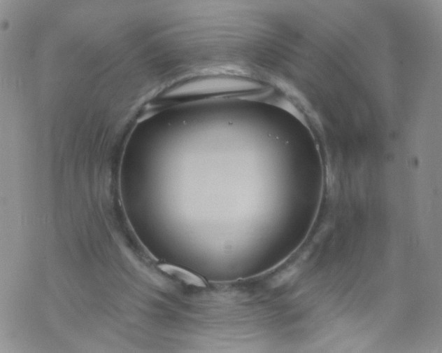 X0000073930201200609011843