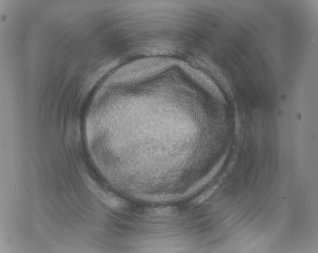 X0000073930202200609011843