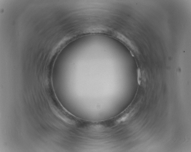 X0000073930203200609011843