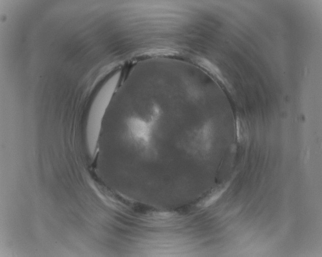 X0000073930205200609011843