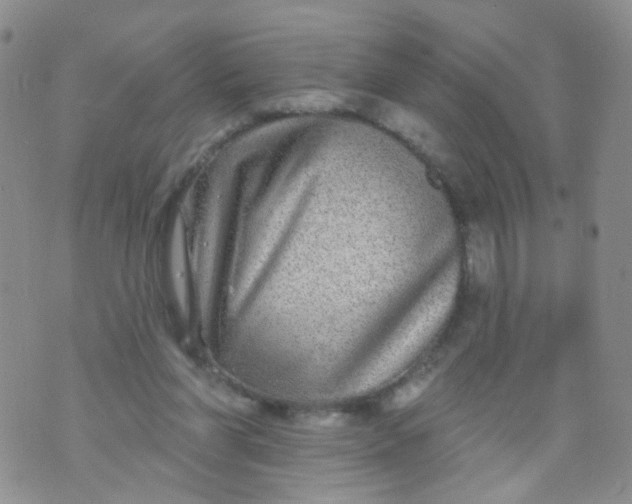 X0000073930206200609011843