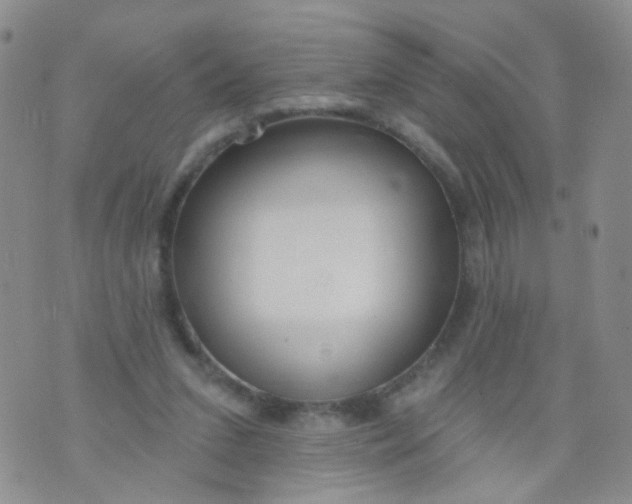 X0000073930207200609011843