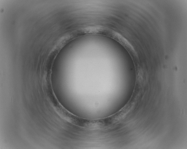 X0000073930209200609011843