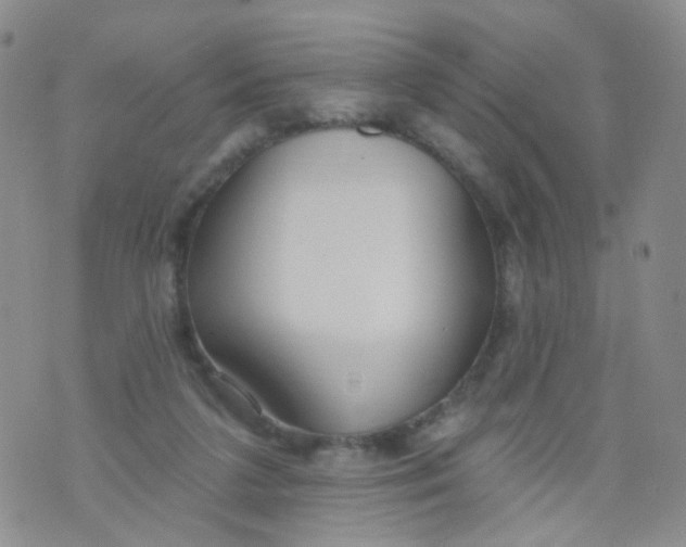 X0000073930211200609011843