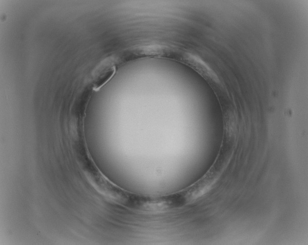 X0000073930213200609011842