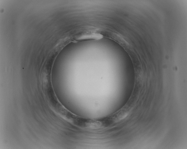 X0000073930215200609011842