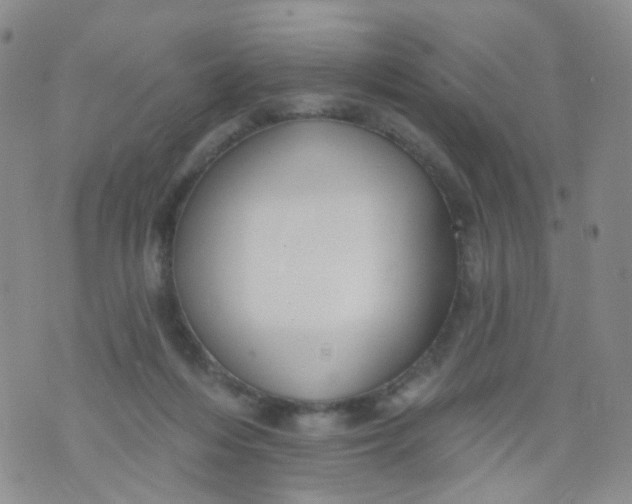 X0000073930216200609011842