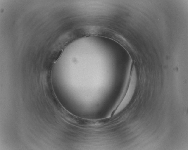 X0000073930217200609011842