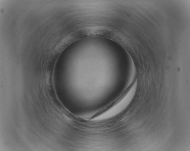 X0000073930219200609011842