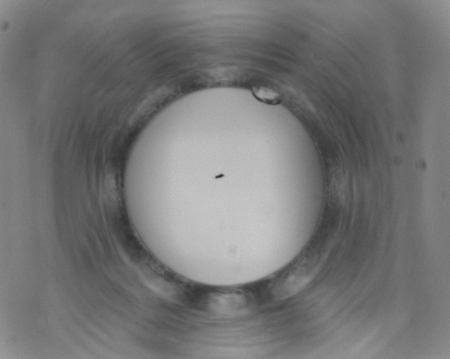 X0000073930220200609011842