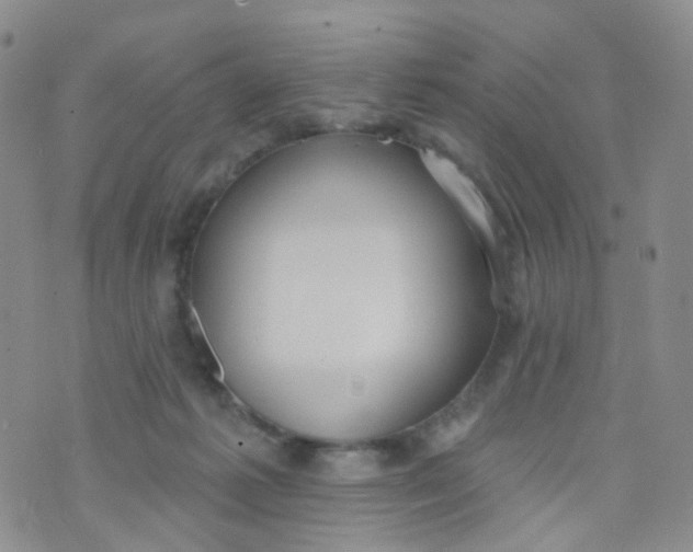 X0000073930221200609011842