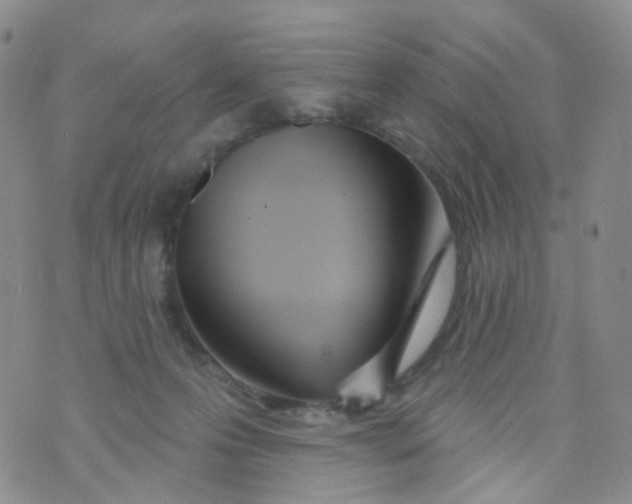 X0000073930223200609011842