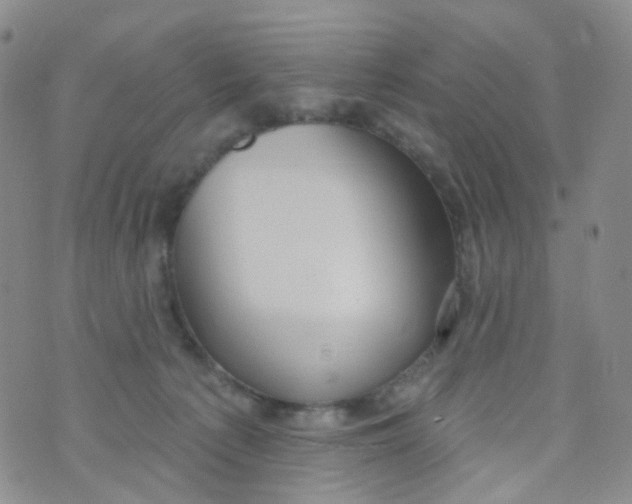 X0000073930225200609011842