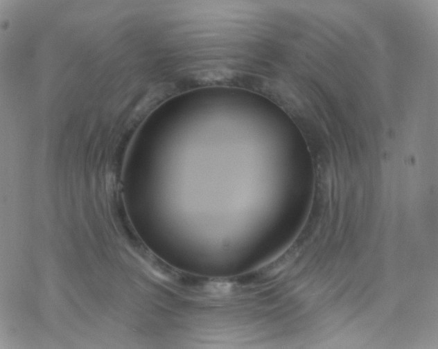 X0000073930227200609011842