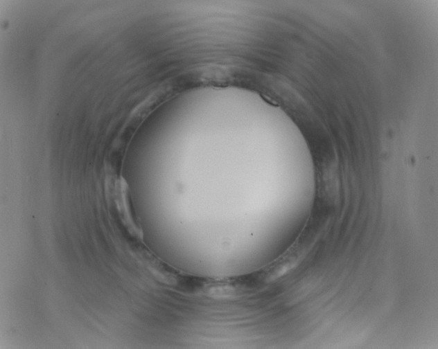 X0000073930228200609011842