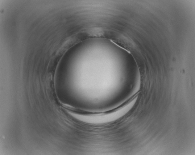 X0000073930229200609011842